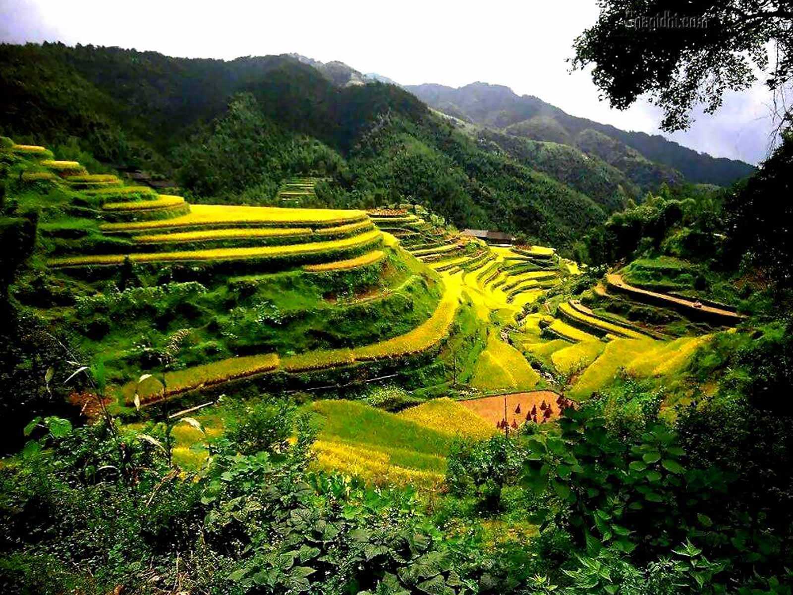 Mussoorie