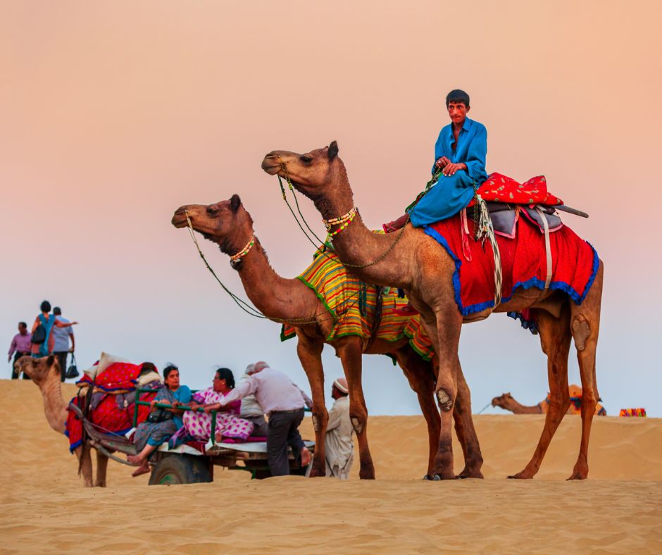 Best Domestic Holiday Destinations in India for Family Trips